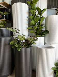 GardenLite Corrugated U Pot