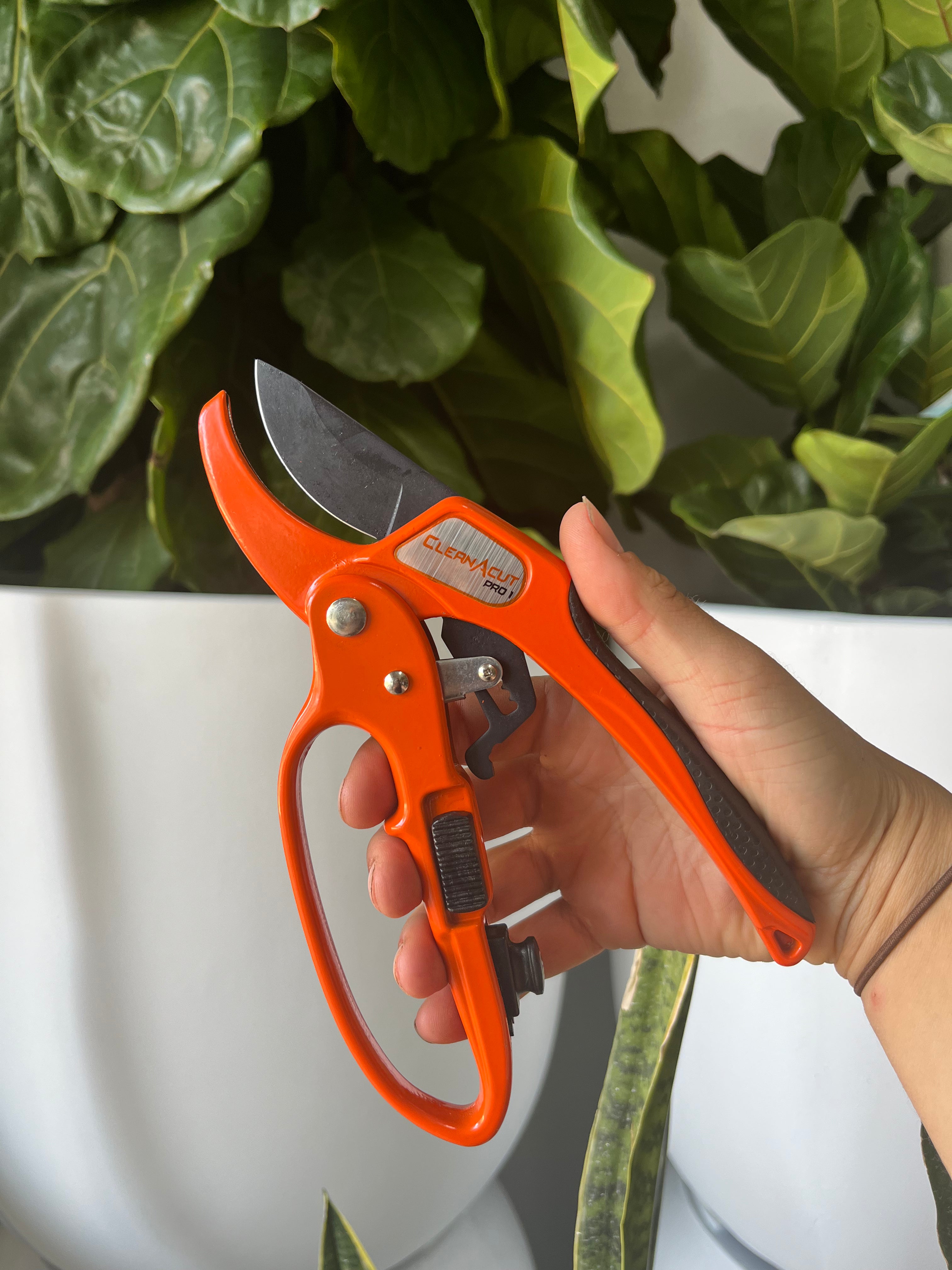 Cutabove Ratchet Secateurs