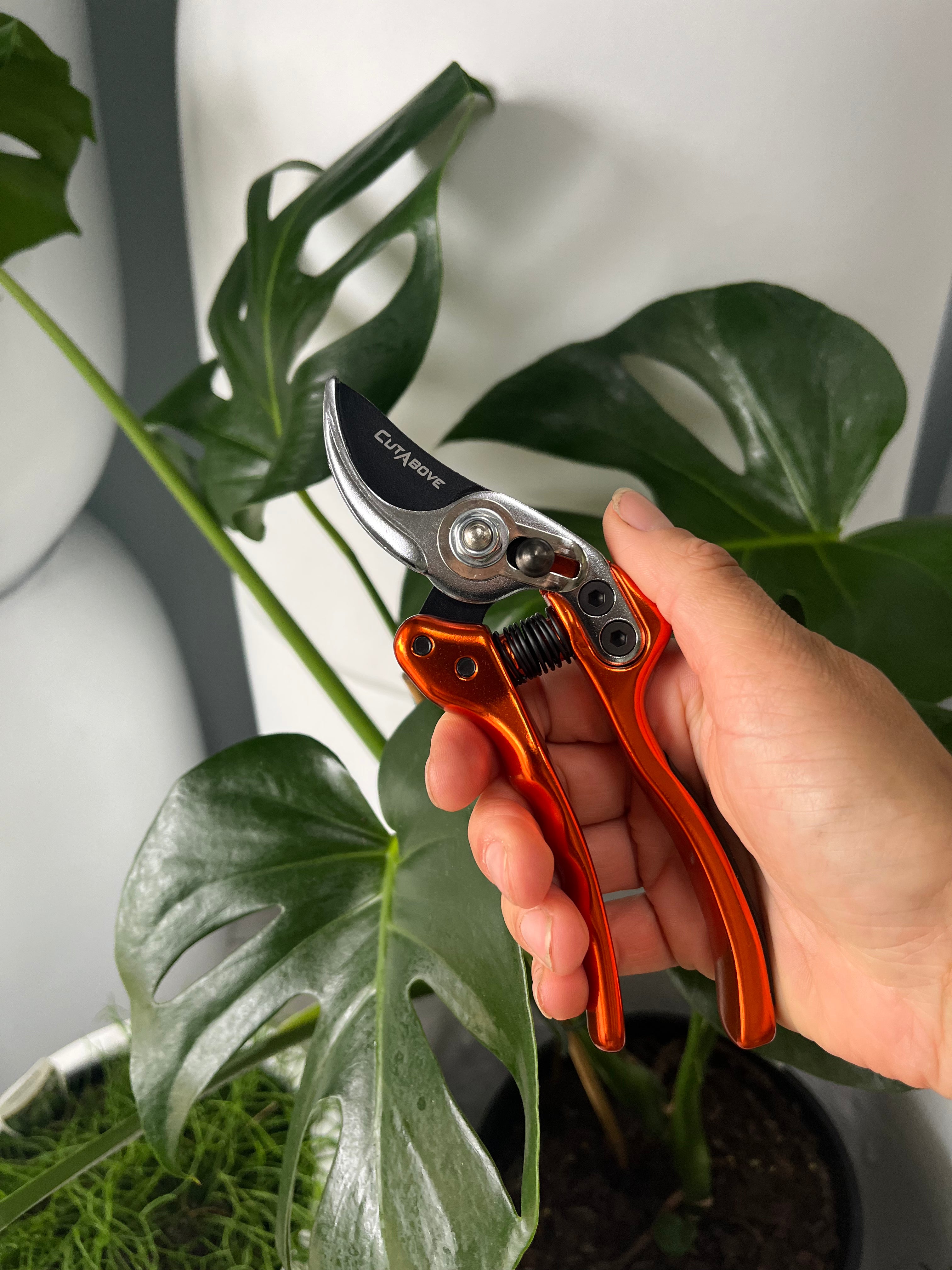 Cutabove Bypass Secateurs Luxury