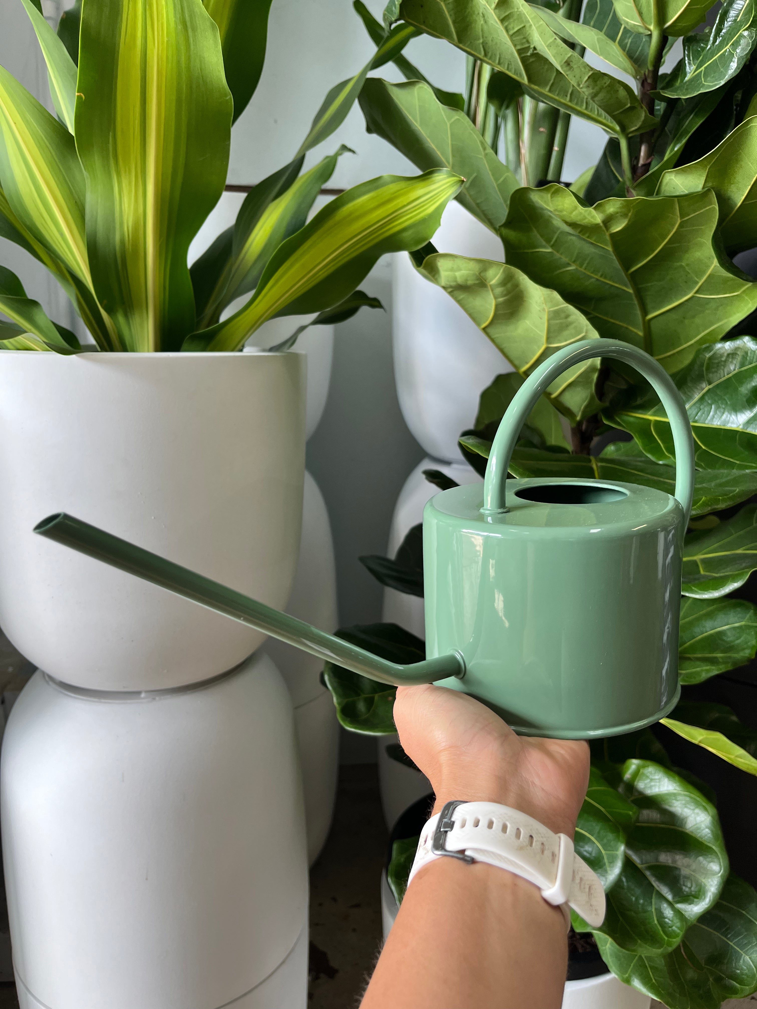 Porto Watering Can