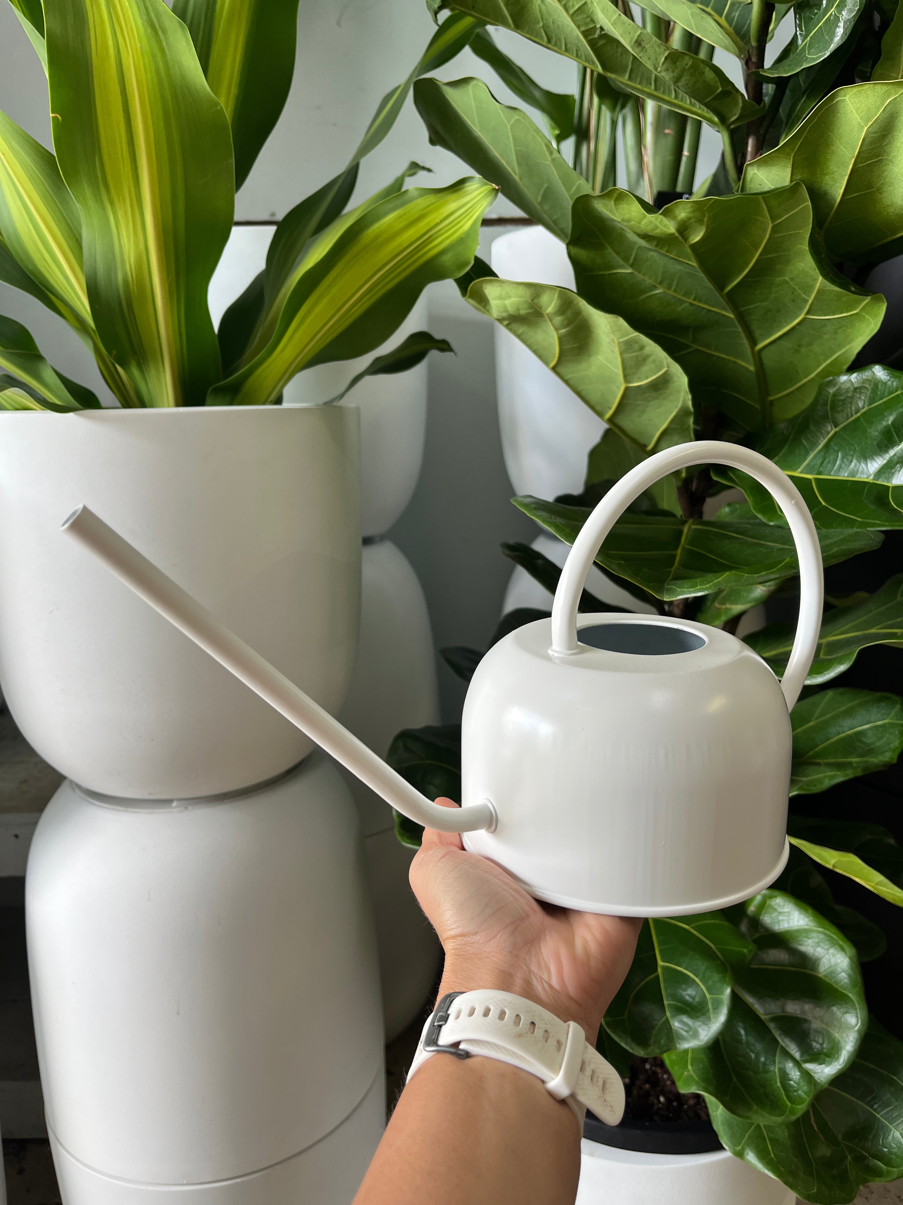 Corfu Watering Can