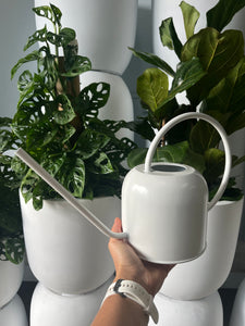 Como Watering Can