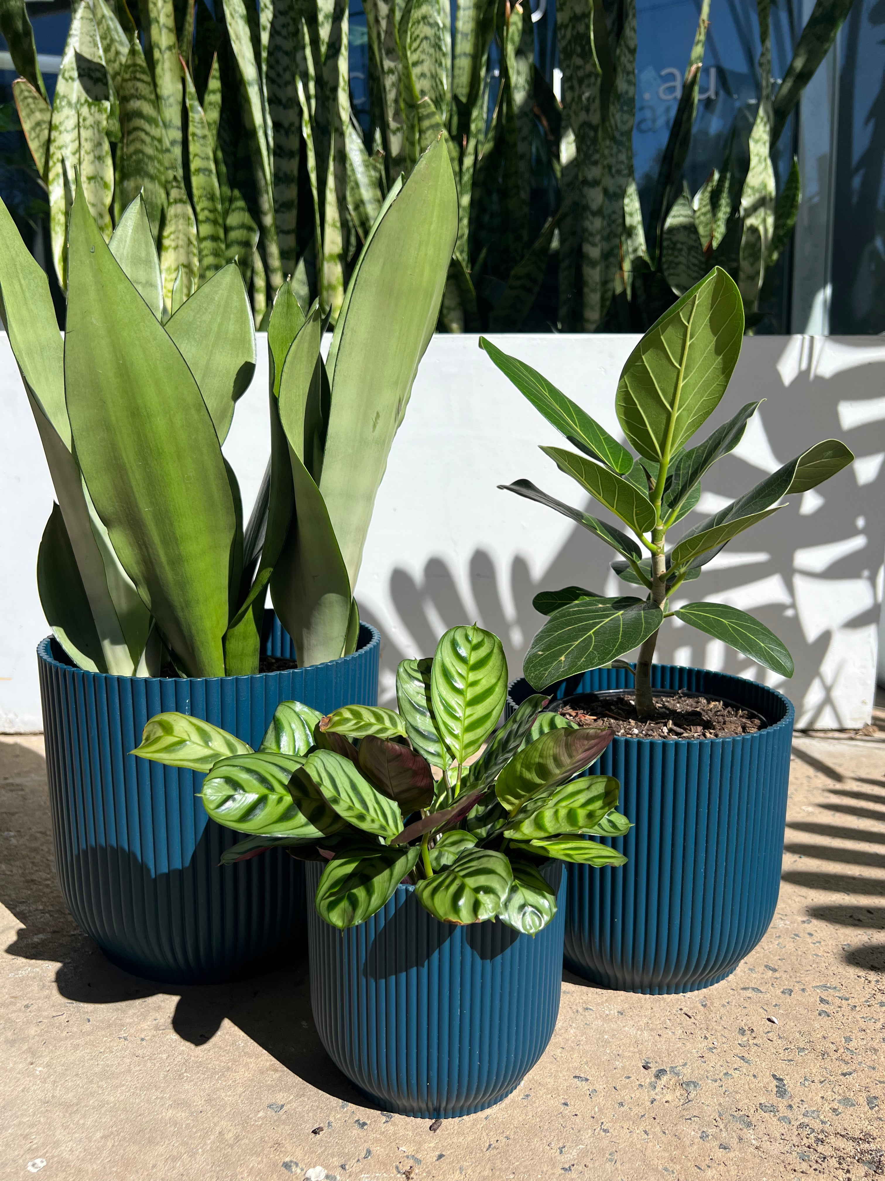 Elho Vibes Fold Round Pot