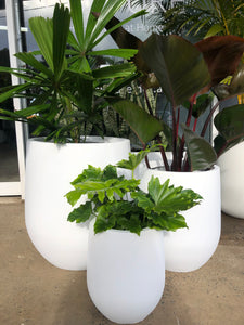 GardenLite Tall Congo Pot