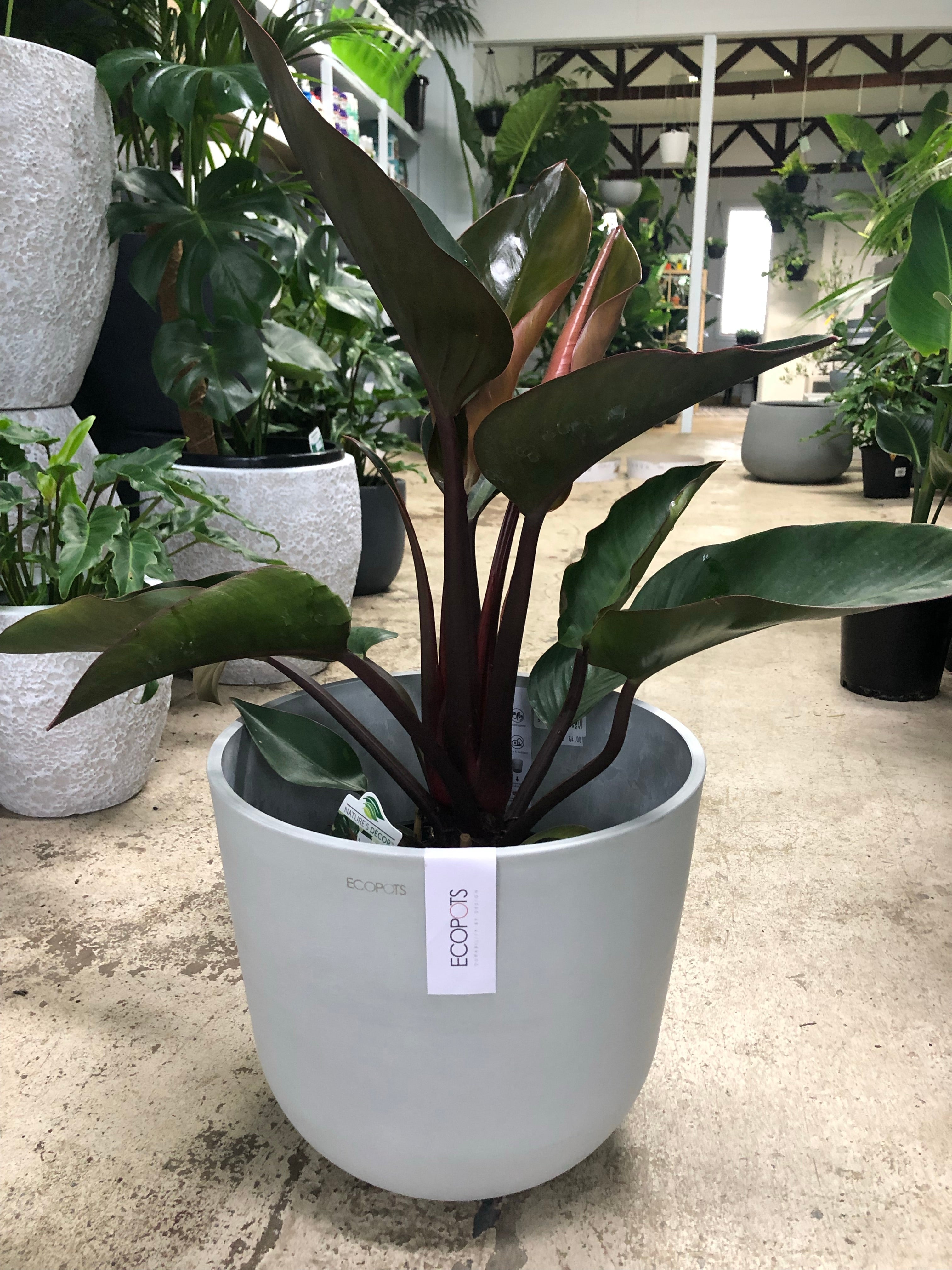 ECOPOTS Oslo