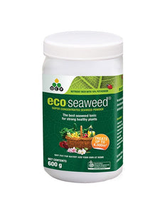 OCP Eco Seaweed